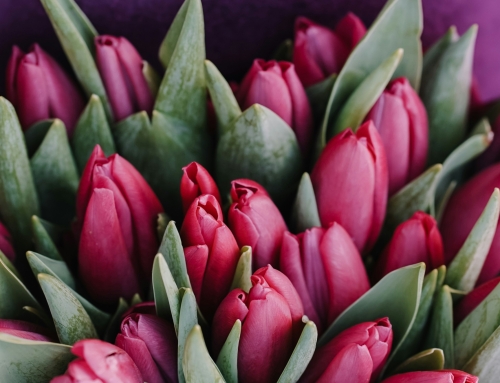 Bulletin 2025 Week 47 – 23 November 2025