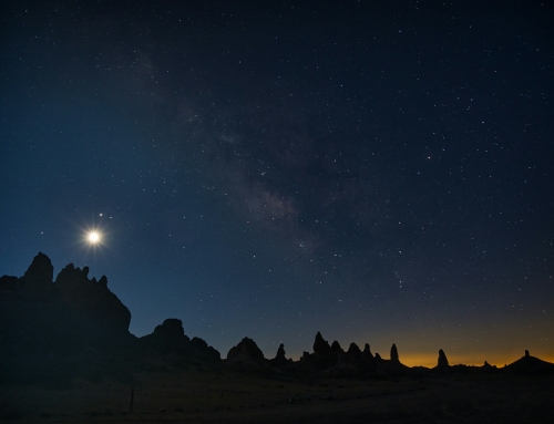 Bulletin 2026 Week 5 – 1 February 2026