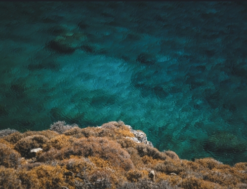 Bulletin 2026 Week 6 – 8 February 2026