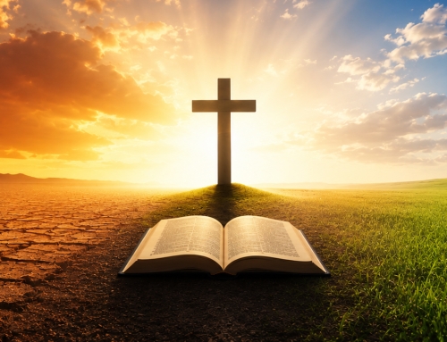 Bulletin 2026 Week 34 – August 23, 2026